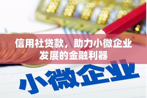 白河信用社贷款，助力小微企业发展的金融利器