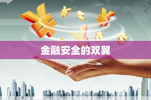 白河金融安全的双翼