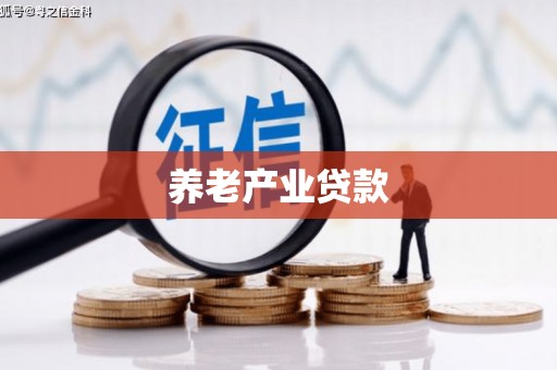 白河养老产业贷款
