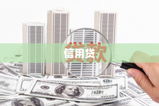 白河信用贷