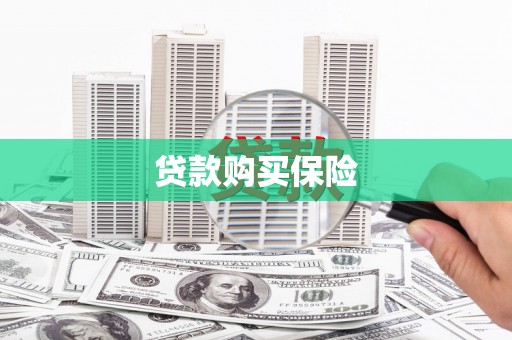 白河贷款购买保险