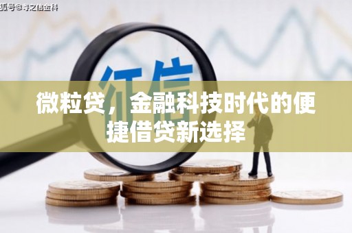 白河微粒贷，金融科技时代的便捷借贷新选择