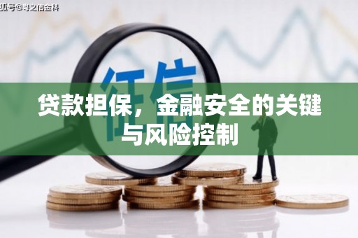 白河贷款担保，金融安全的关键与风险控制