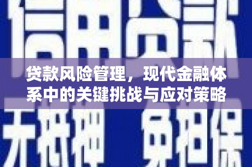 白河贷款风险管理，现代金融体系中的关键挑战与应对策略