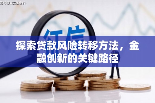 白河探索贷款风险转移方法，金融创新的关键路径