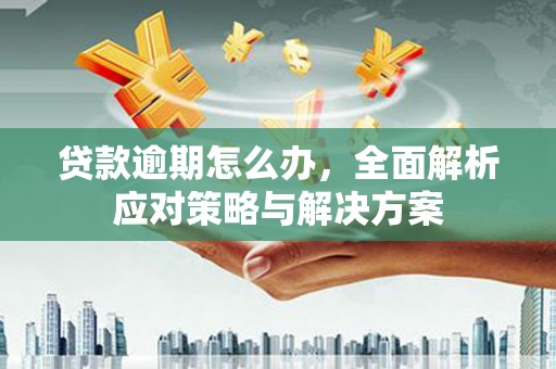 白河贷款逾期怎么办，全面解析应对策略与解决方案