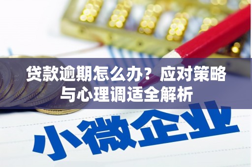 白河贷款逾期怎么办？应对策略与心理调适全解析