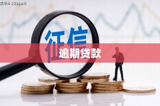 白河逾期贷款