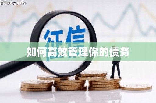 白河如何高效管理你的债务