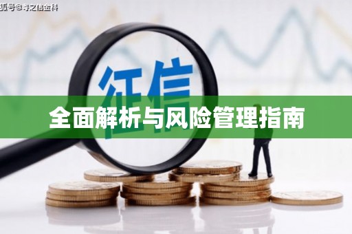 白河全面解析与风险管理指南