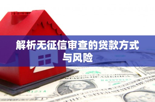 白河解析无征信审查的贷款方式与风险