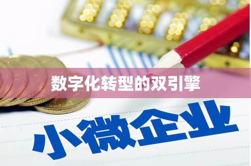 白河数字化转型的双引擎