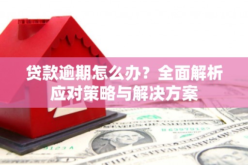 白河贷款逾期怎么办？全面解析应对策略与解决方案