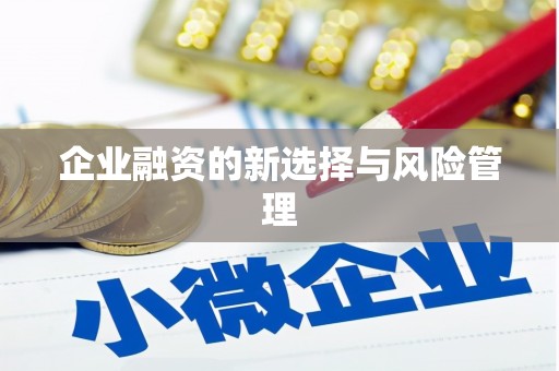 白河企业融资的新选择与风险管理