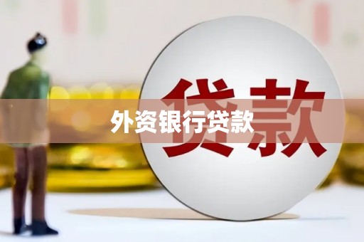 白河外资银行贷款