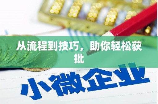 白河从流程到技巧，助你轻松获批