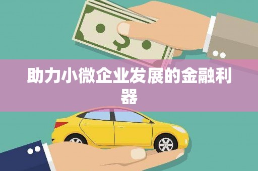 白河助力小微企业发展的金融利器