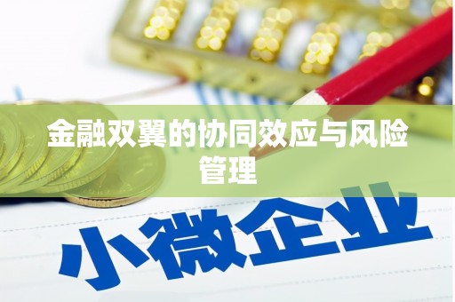 白河金融双翼的协同效应与风险管理