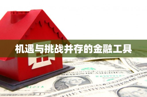 白河机遇与挑战并存的金融工具