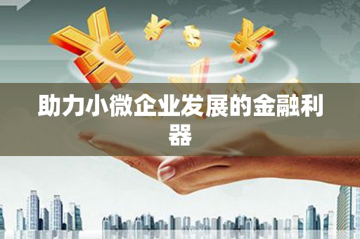白河助力小微企业发展的金融利器