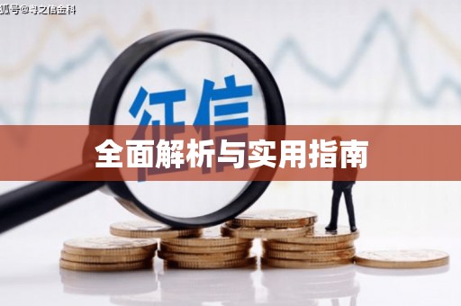 白河全面解析与实用指南