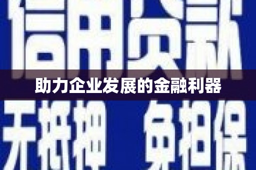 白河助力企业发展的金融利器