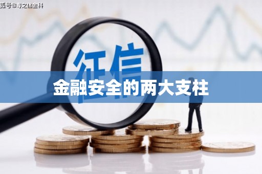 白河金融安全的两大支柱