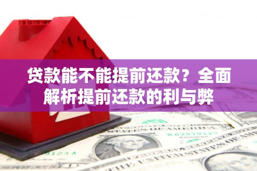 白河贷款能不能提前还款？全面解析提前还款的利与弊