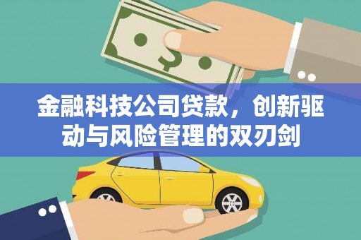 白河金融科技公司贷款，创新驱动与风险管理的双刃剑